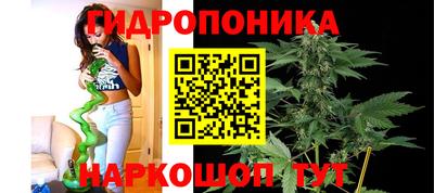 mdpv Мариинск