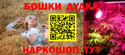 mdpv Мариинск